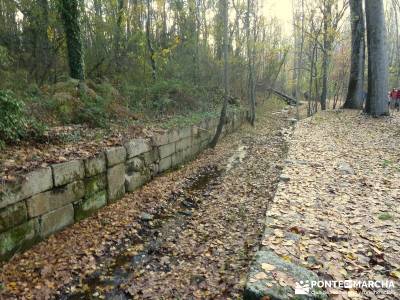 Bosque de Finlandia - Valle de El Paular;turismo por madrid libros senderismo sendero del agua